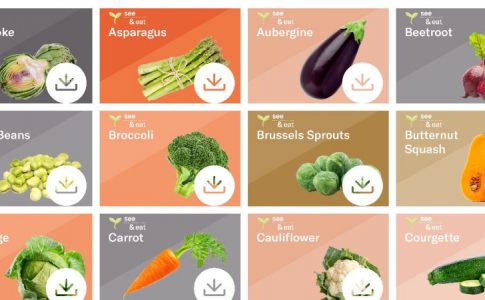 Un tableau présentant les différents types de légumes, les nouveaux héros des histoires du soir.