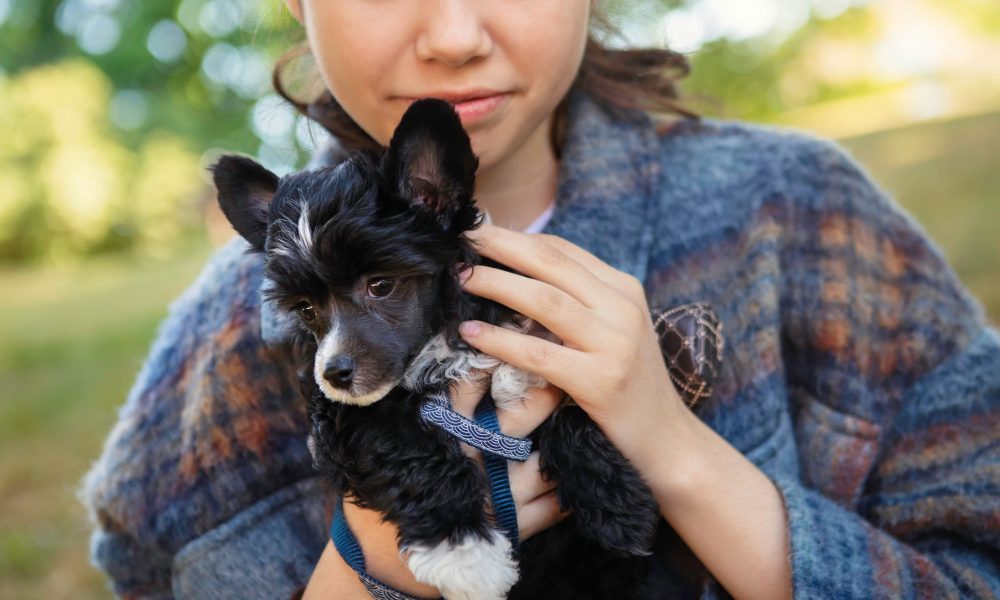 Une jeune fille tenant un petit chiot dans ses bras