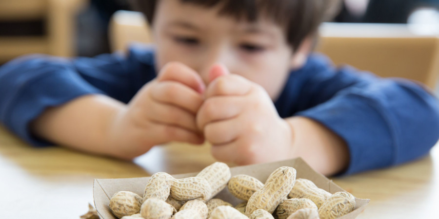 L’allergie aux arachides des bébés est très répandue en Australie.