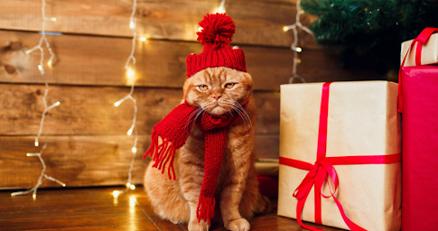 Un chat curieux entouré de cadeaux colorés sous un sapin de Noël décoré.