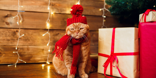 Un chat curieux entouré de cadeaux colorés sous un sapin de Noël décoré.