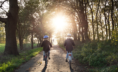 De jeunes enfants à vélo, parcourant l’allée d’un parc.