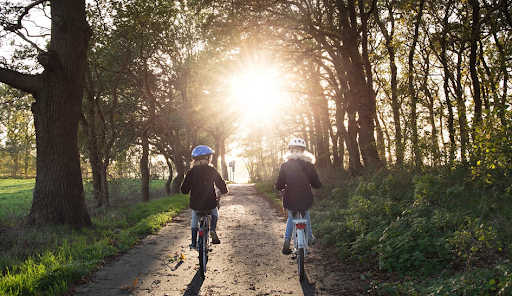 De jeunes enfants à vélo, parcourant l’allée d’un parc.