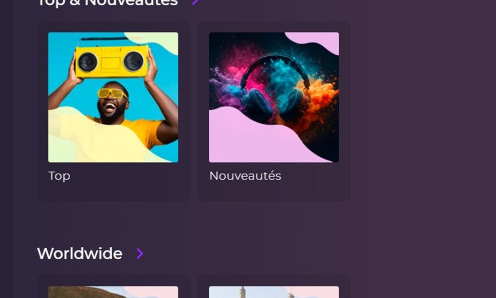 Les artistes du site Playup