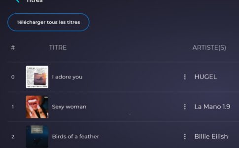 Les titres de Playup