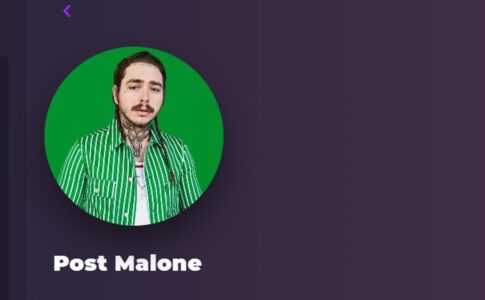 Post Malone sur Playup
