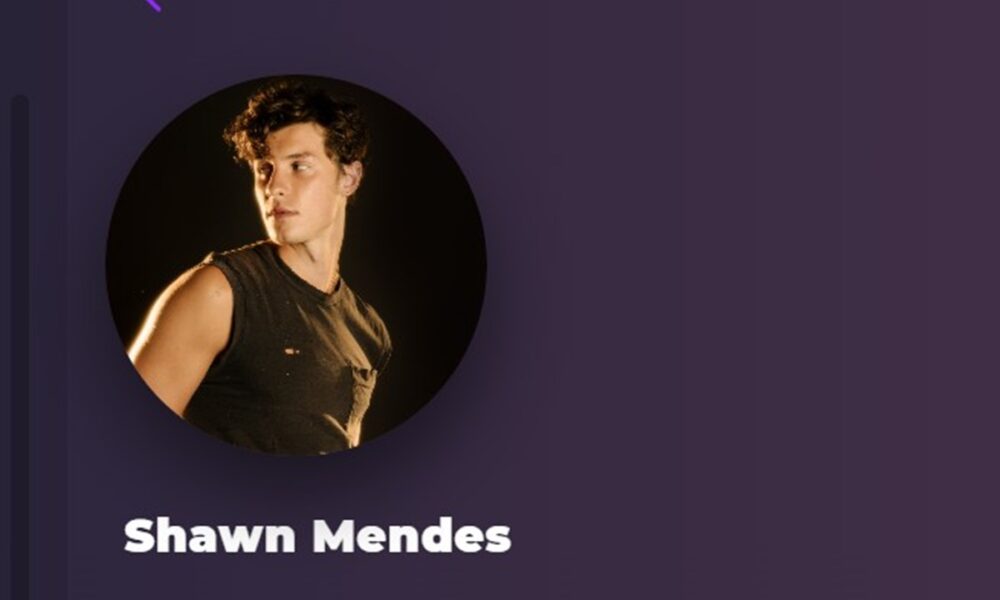 Shawn Mendes sur Playup