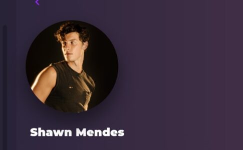 Shawn Mendes sur Playup