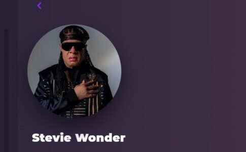 Stevie Wonder sur Playup