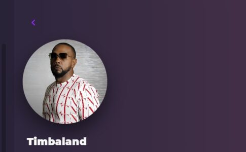 Timbaland sur Playup