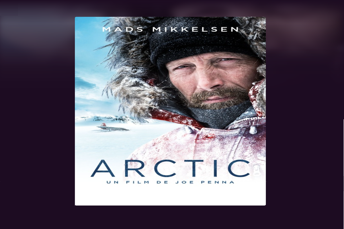 Affiche du film Arctic