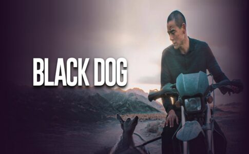 Affiche du drame Black Dog