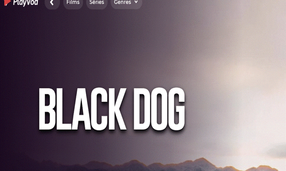 Affiche du film Black Dog sur PlayVOD
