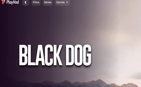 Affiche du film Black Dog sur PlayVOD