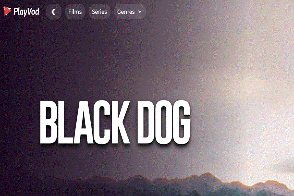 Affiche du film Black Dog sur PlayVOD