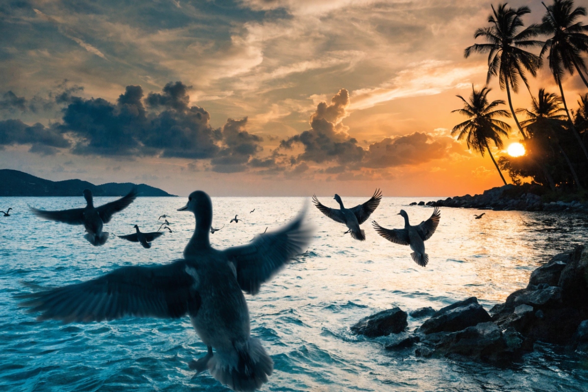 Des canards en vol au-dessus d’un paysage tropical