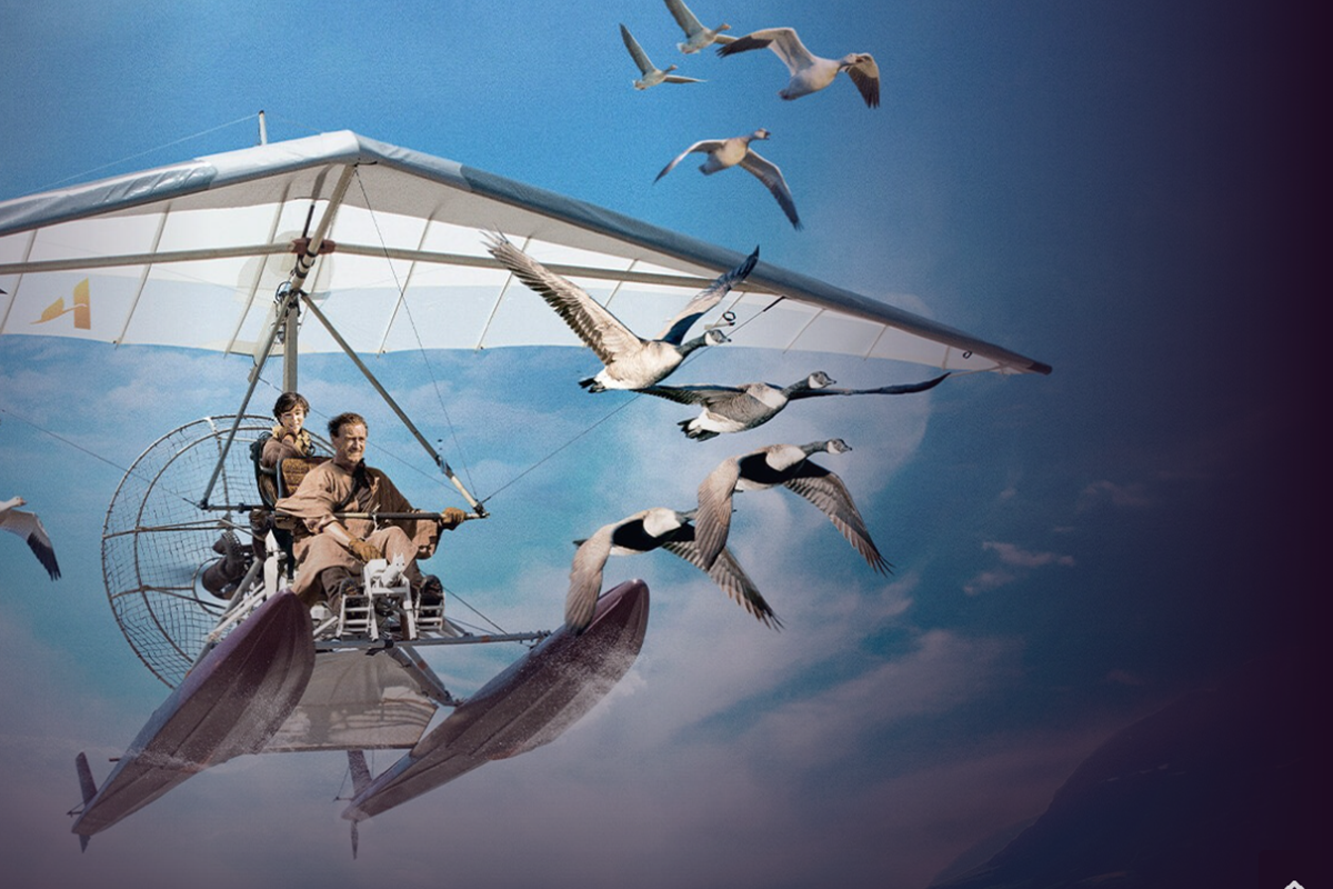 Affiche du film Donne-Moi Des Ailes