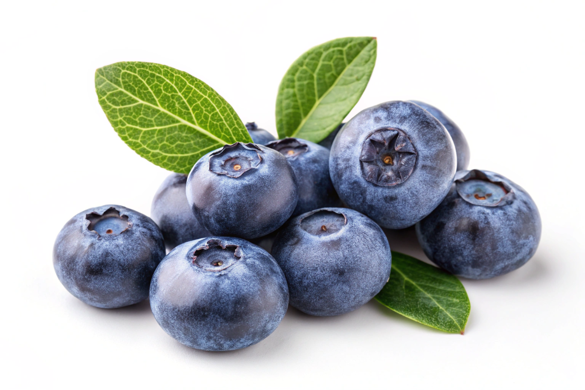 des myrtilles riches en flavonoïdes