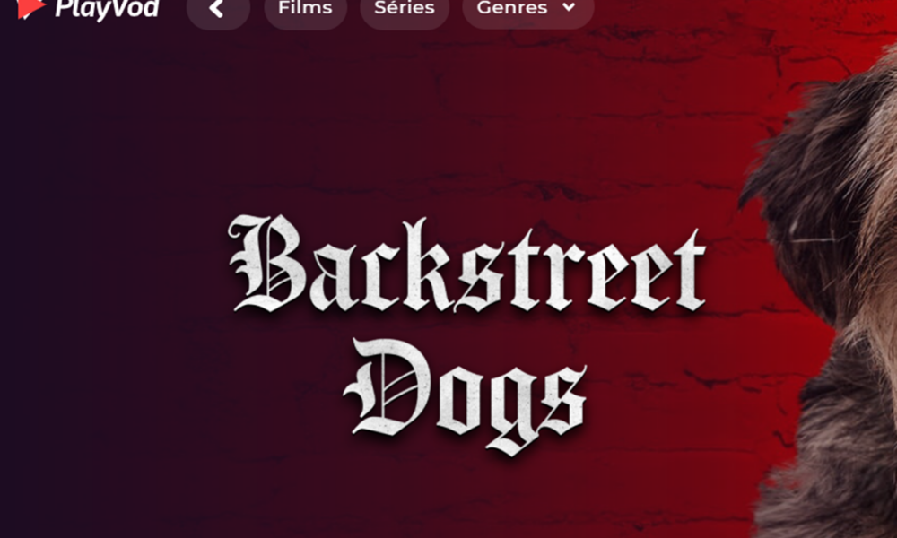 Le film Backstreet Dogs sur PlayVOD