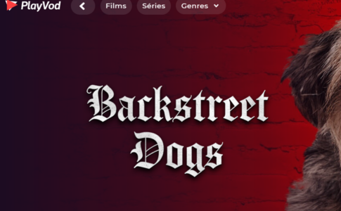 Le film Backstreet Dogs sur PlayVOD