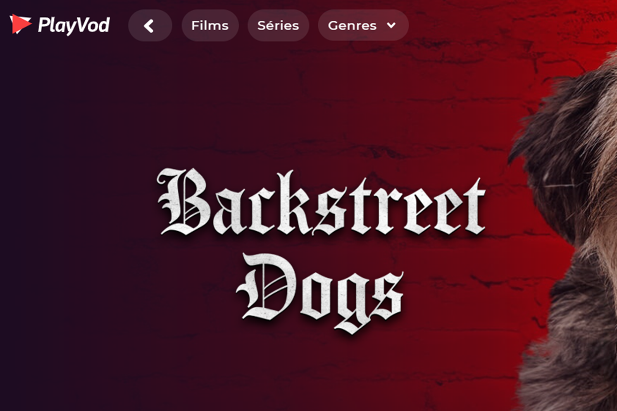 Le film Backstreet Dogs sur PlayVOD