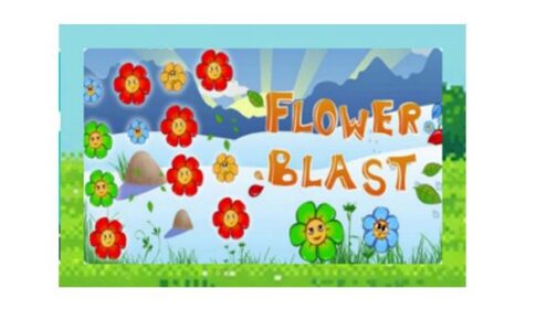 affiche du jeu Flower Blast