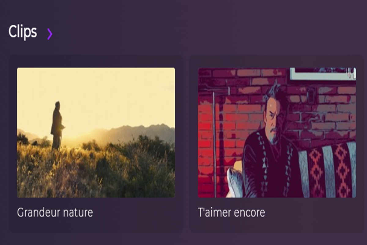 Les clips de Florent Pagny