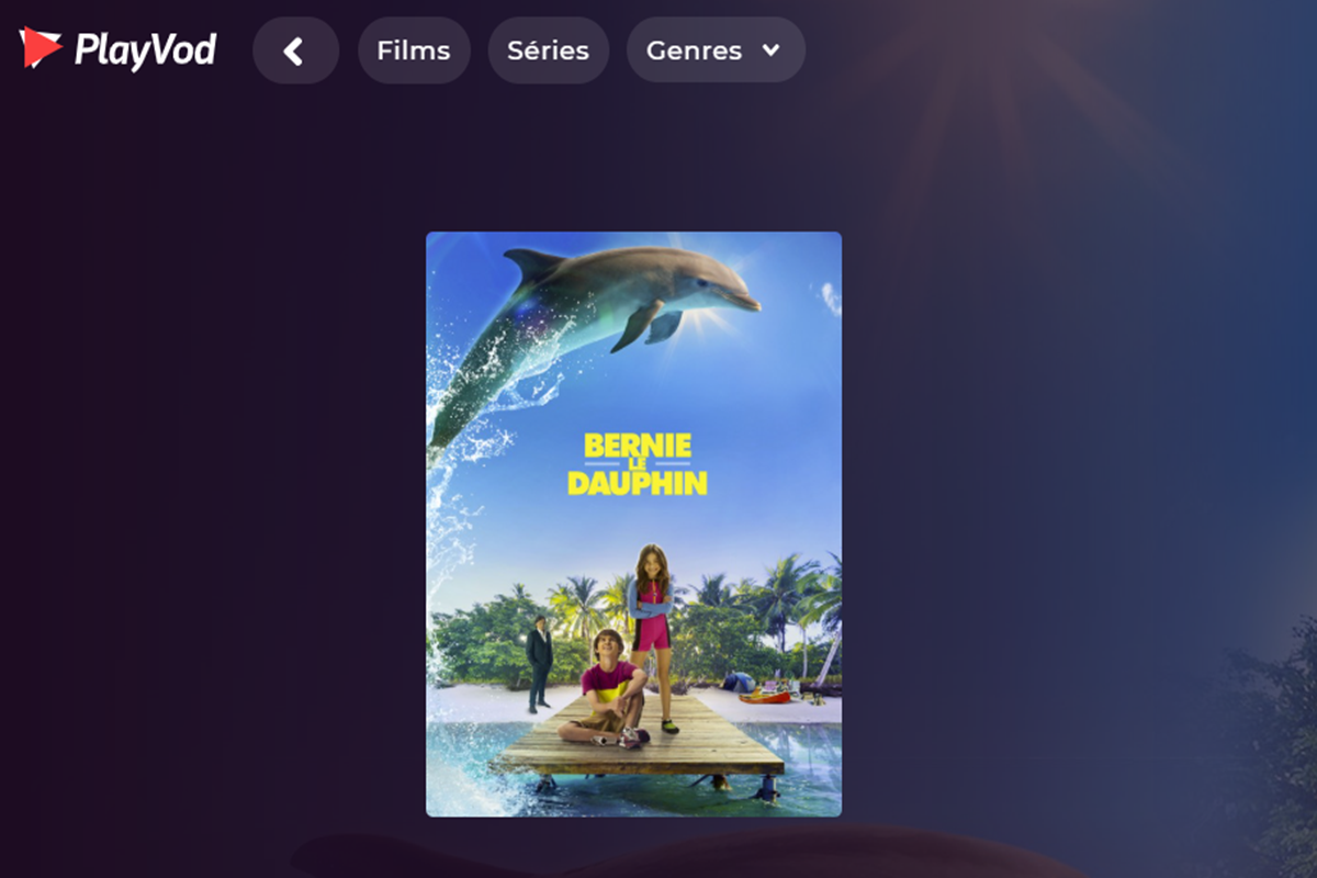 Le film Bernie le dauphin sur PlayVOD