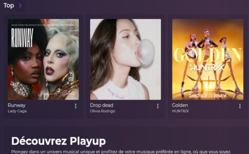 Section Top de Playup