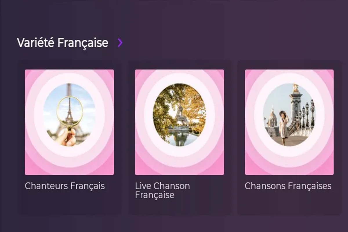 La section Variété Française sur Playup