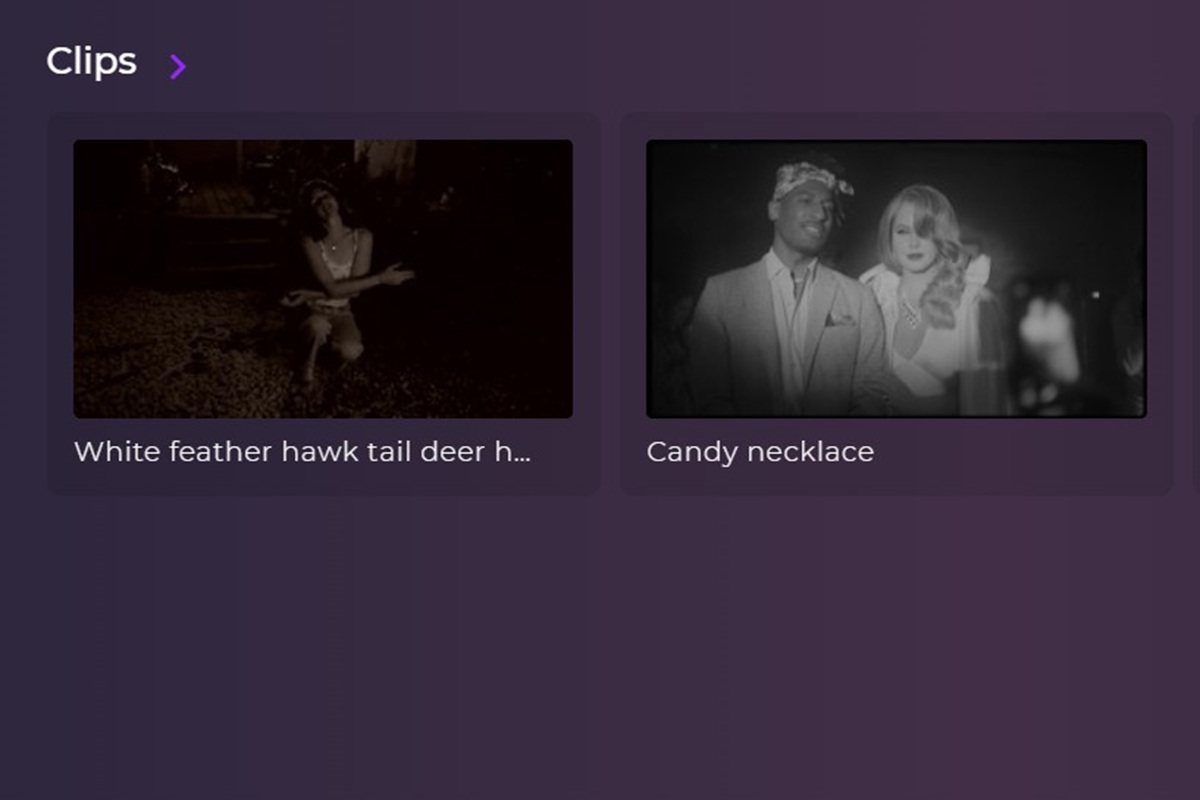 Clips de Lana Del Rey