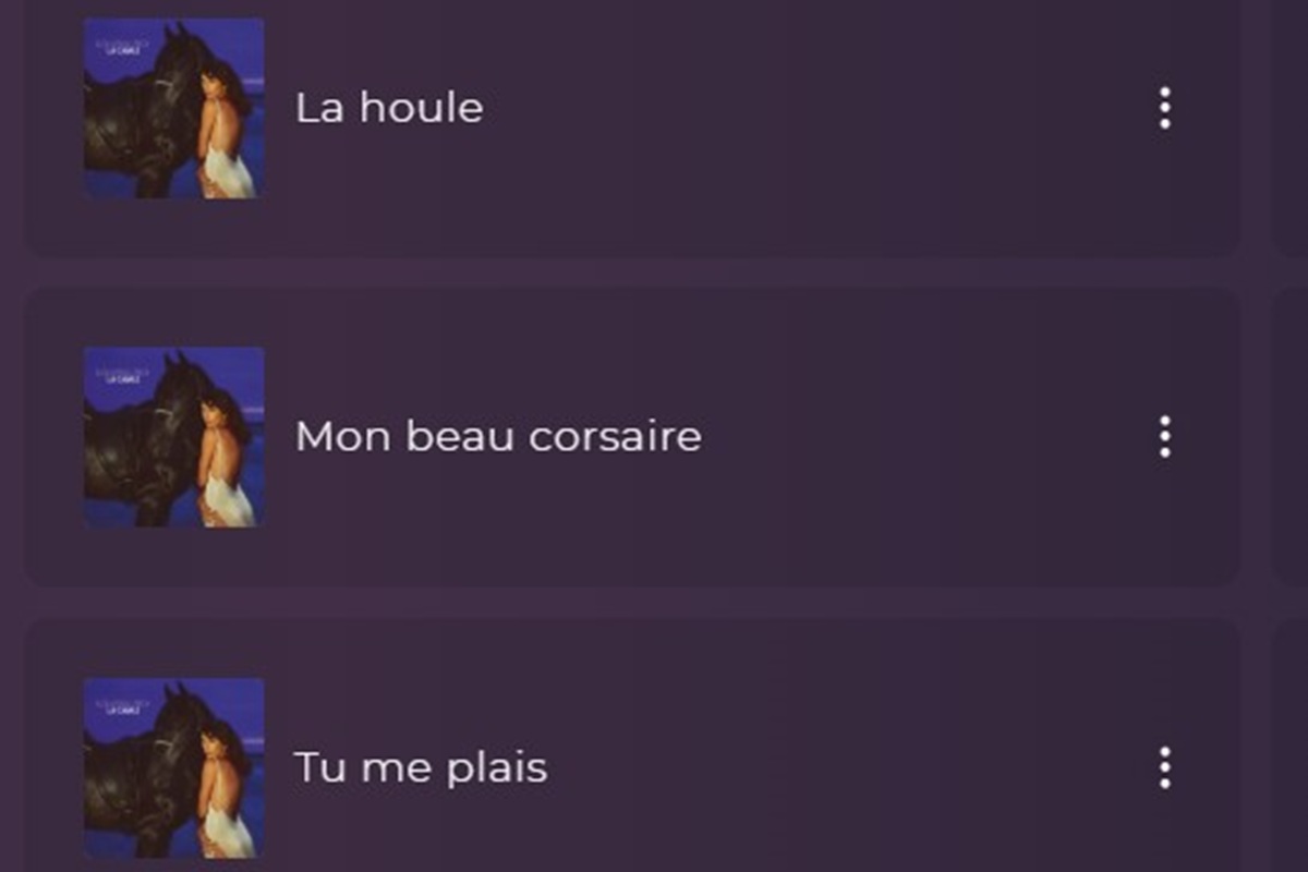 Les titres de Nolwenn Leroy