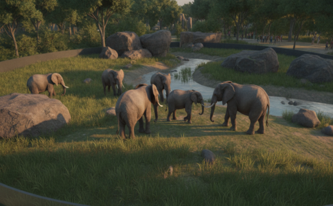 Gameplay d’un jeu similaire à Planet Zoo 2