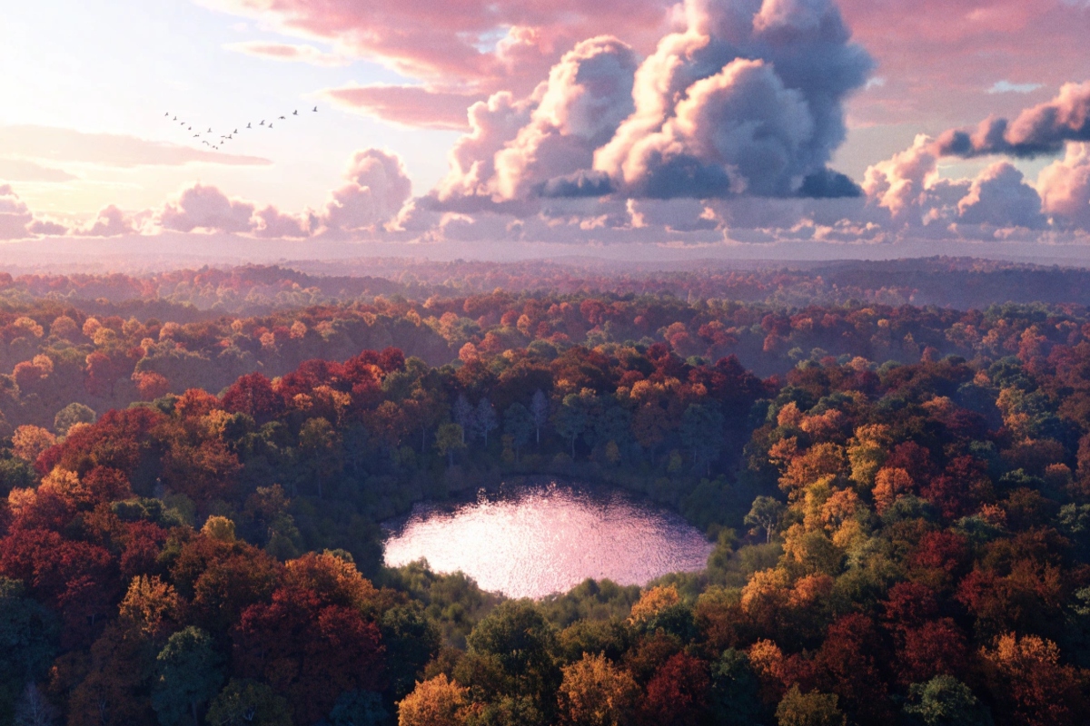 Vue aérienne d'oiseaux en migration dans le ciel d'automne
