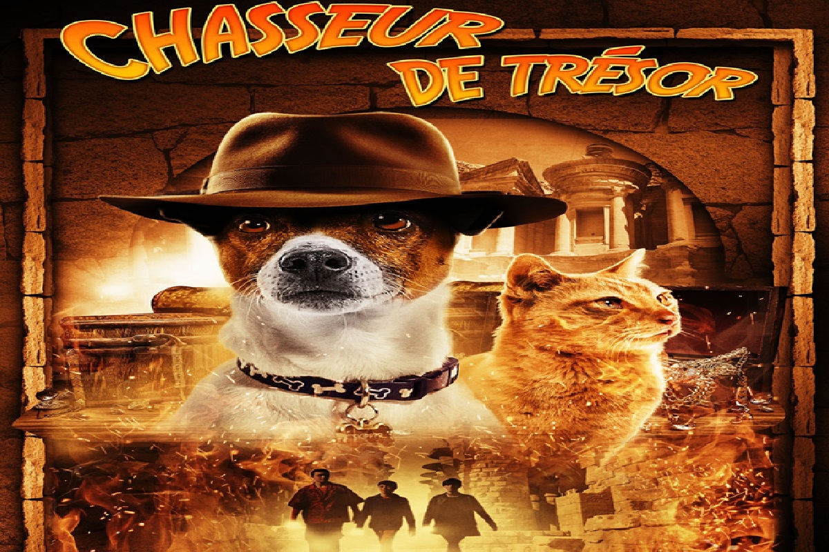 Affiche du film Chasseur de Trésor