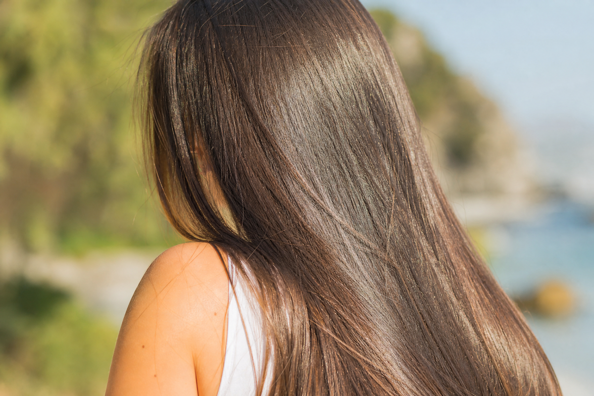 De longs cheveux bruns, lisses et brillants, vus de dos en extérieur.