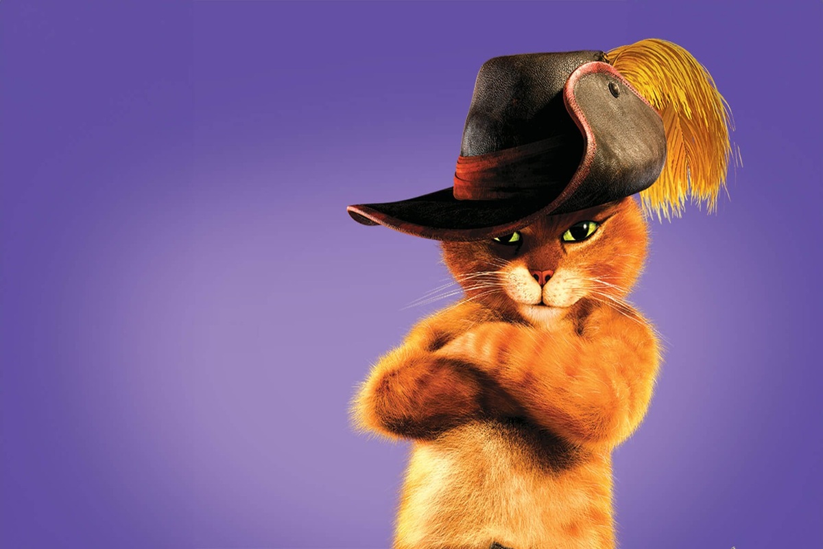 Le chat potté